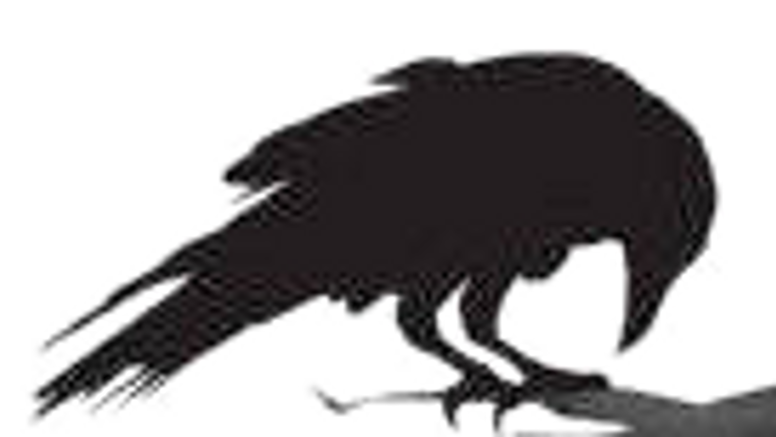 AACROW copy_edited.png
